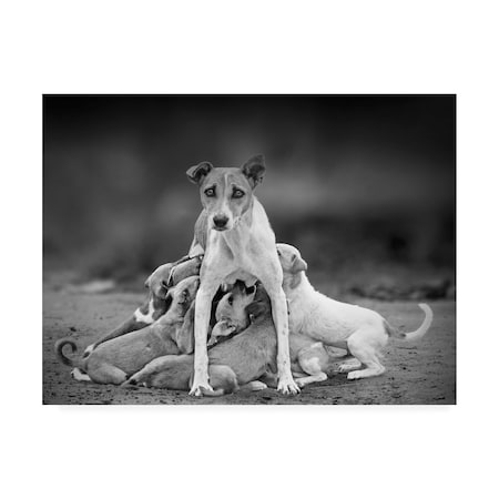 Trademark Fine Art Sandeep Ananda Das 'Motherliness' Canvas Art, 14x19 1X09955-C1419GG